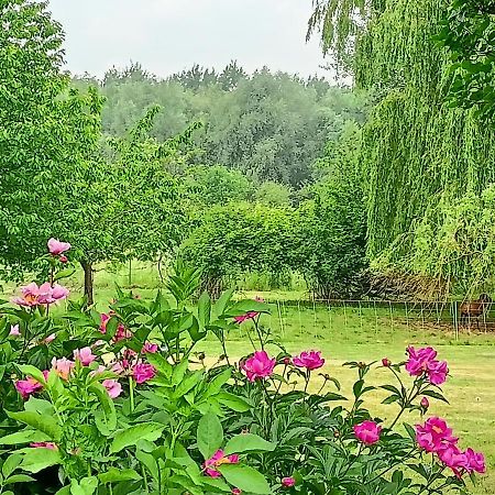 Les Chambres Du Vert Galant Rez De Jardin Verlinghem Bagian luar foto