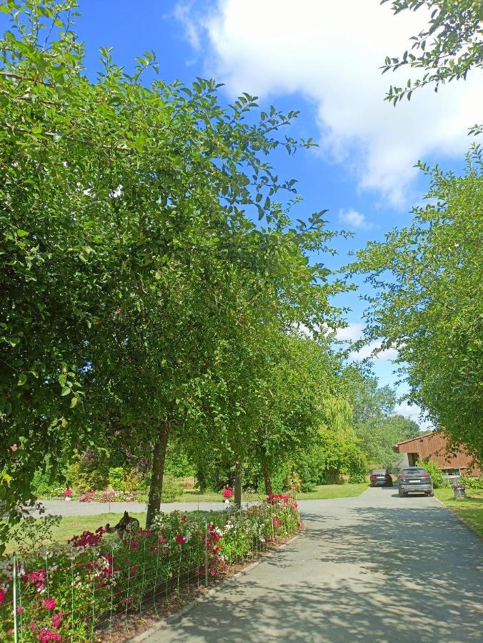 Les Chambres Du Vert Galant Rez De Jardin Verlinghem Bagian luar foto