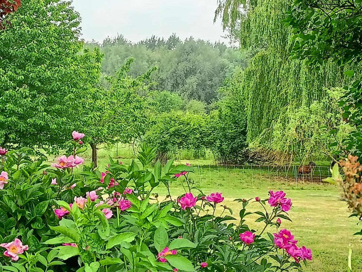 Les Chambres Du Vert Galant Rez De Jardin Verlinghem Bagian luar foto