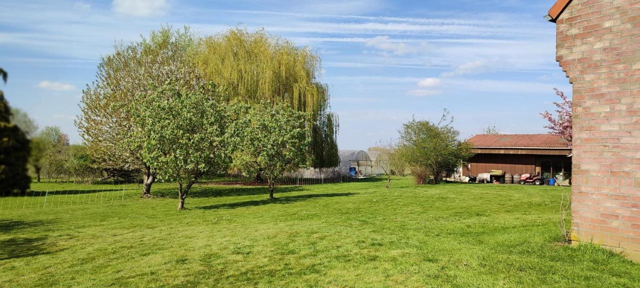 Les Chambres Du Vert Galant Rez De Jardin Verlinghem Bagian luar foto